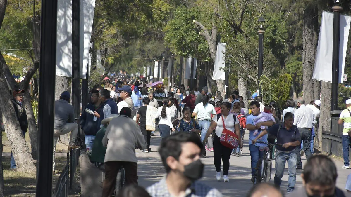 operativo guadalupano 1